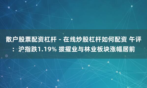 散户股票配资杠杆 - 在线炒股杠杆如何配资 午评：沪指跌1.19% 拔擢业与林业板块涨幅居前