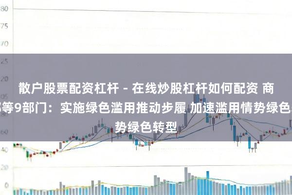 散户股票配资杠杆 - 在线炒股杠杆如何配资 商务部等9部门：实施绿色滥用推动步履 加速滥用情势绿色转型