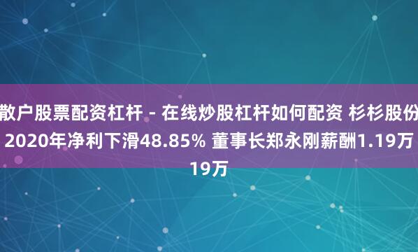 散户股票配资杠杆 - 在线炒股杠杆如何配资 杉杉股份2020年净利下滑48.85% 董事长郑永刚薪酬1.19万