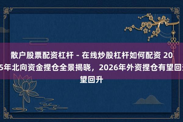 散户股票配资杠杆 - 在线炒股杠杆如何配资 2025年北向资金捏仓全景揭晓，2026年外资捏仓有望回升