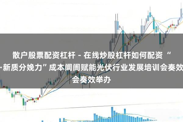 散户股票配资杠杆 - 在线炒股杠杆如何配资 “起程·新质分娩力”成本阛阓赋能光伏行业发展培训会奏效举办