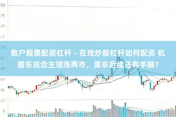 散户股票配资杠杆 - 在线炒股杠杆如何配资 机器东说念主领涨两市，莫非后续还有手脚？